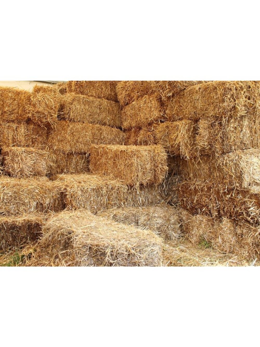10x8ft Autumn Farm Haystack Photography Backdrop - Fall Harvest Party Decor